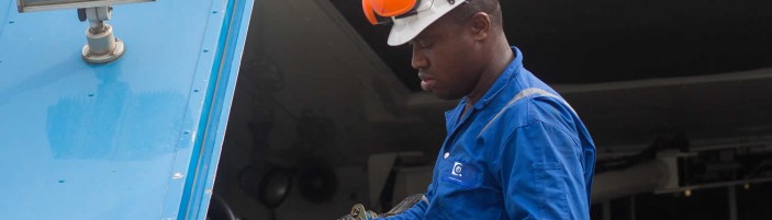 Wordpress Marketplace